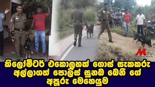 පොලිස් සුනඛ බෙනී ගේ අපූරු මෙහෙයුම - Monaragala TV