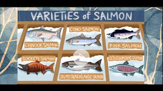 Animal Genetic Improvement Program by using LD approach | Salmon