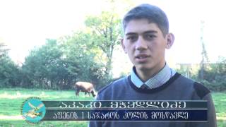 ლაგოდეხის მუნიციპალიტეტი აფენის საჯარო სკოლას განათლების სამინისტროსთან უშუამდგომლებს