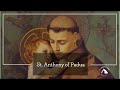 The 33rd Sunday in Ordinary Time Mass LIVE! 10:00AM Nov 13, 2022 [HD]