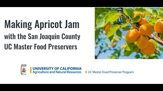 Apricot Jam