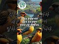 서울대 권장도서 100선 과학기술 종의 기원 찰스 다윈