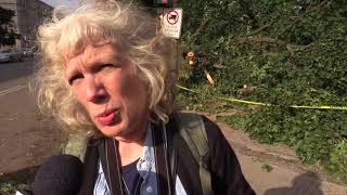 Devastation in N.D.G. Park