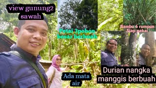 Tanah subur super murah 2500-3000M2 Hrg 15rb/M durian petai rambutan berbuah view gunung2 sawah