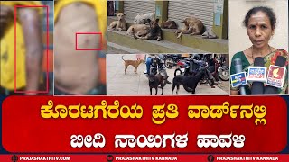 koratagere : ಕೊರಟಗೆರೆಯ ಪ್ರತಿ ವಾರ್ಡ್ನಲ್ಲಿ ಬೀದಿ ನಾಯಿಗಳ ಹಾವಳಿ