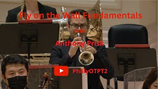 PATERNITY LEAVE TRUMPET WARM UP ROUTINE and FUNDAMENTALS(Fly on the Wall!)