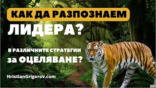 Как да разпознаем Лидера според стратегията?