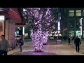 東京駅周辺のイルミネーション 4k illumination around tokyo station