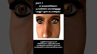 കണ്ണുകൾ എന്ന മഹാ അനുഗ്രഹം. the miracle of the humen eye (nasar palakkad)