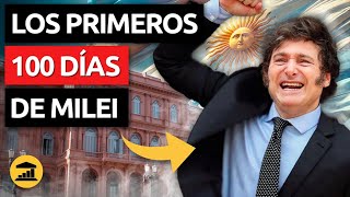 ¿Está cumpliendo MILEI en ARGENTINA? Expectativas vs Realidad - VisualPolitik