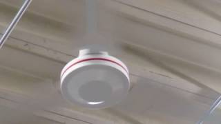 Playtube Pk Ultimate Video Sharing Website