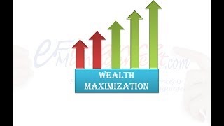 Wealth Maximization