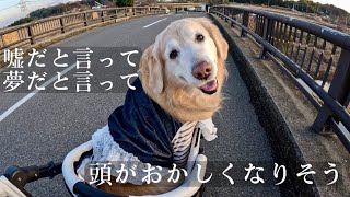 【ご報告】幸せのタイムリミット