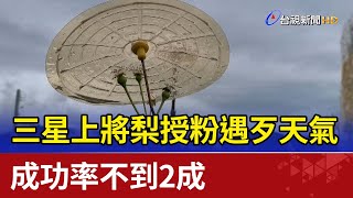 三星上將梨授粉遇歹天氣 成功率不到2成