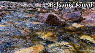 [4K RELAXING] 머리가 맑아지고 집중력과 숙면에 좋은 강원도 산골의 계곡 물소리 🙌🙌🙌