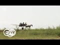 Senegal – uniting through climate change | DW English