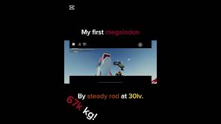 Getting my first megalodon at 30lv with steady rod#roblox #fisch #robloxfisch #megalodon