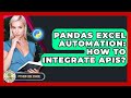 Pandas Excel Automation: How To Integrate APIs? - Python Code School