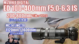 M.ZUIKO DIGITAL ED 100-400mm F5.0-6.3 IS (35mm判換算200-800)で撮ってみる