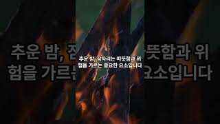 집이 없는 경우, 추운 겨울 밤 따뜻하게 지내는 방법 #지식, #shorts