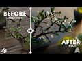 20+ Blender Tricks That Made Me Pro