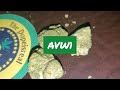 og kush review 2022 plain jane strain review