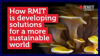 Ten ways RMIT research is helping to build a more sustainable future | RMIT University
