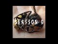 David Löhlein & MARA - Schatten