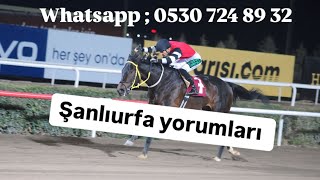 29 Ocak Çarşamba Şanlıurfa yorumları whatsapp iletişim ; 0530 724 89 32 💯🔥📩🔥