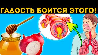 Старинный народный рецепт: мёд с таким луком - очистит без труда бронхи, сосуды и...