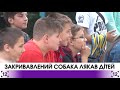 У таборі закривавлений собака налякав дітей