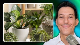 Top 5 Air Purifying Plants from NASA Study | Cabral Concept 2680