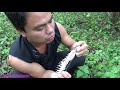 Primitive Technology Primitive Skills Catch Big Fish And Cooking Fish In Bamboo Eating Delicious