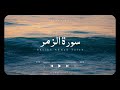 تلاوة هادئة لسورة الزمر للقارئ الشيخ أحمد بن طالب surah al zumar by sheikh ahmad taleb