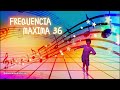 CD FREQUENCIA MAXIMA VOL  36 SET MIXADO