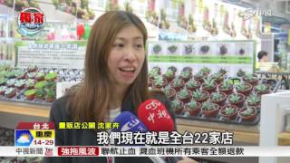 賣場小盆栽超夯 量販店瞬間變花市│中視獨家新聞20170413