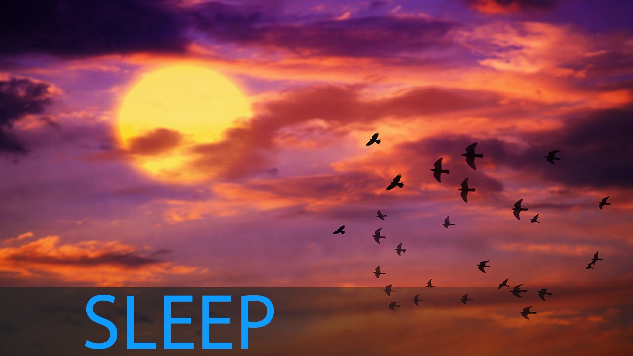 8 Hour Sleep Music: Relaxing Music, Calming Music, Soothing Music ...