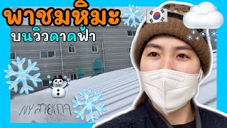 พาชมหิมะตกที่เกาหลี❄️🇰🇷 บนวิวดาดฟ้า