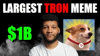 THIS IS THE LARGEST MEME COIN ON #TRON!!! DON'T SLEEP ON #SUNDOG TOKEN!!!