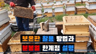 #Bee#양봉교육 보온판 활용 방법과 분봉열 한계점 설명