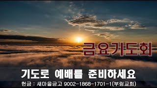 금요기도회 | 서울부림교회 | 신국현 목사|  2025-2-14