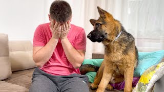 German Shepherd Puppy Reaction to Me Crying