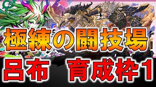 【パズドラ】極練の闘技場　転生呂布　周回　編成