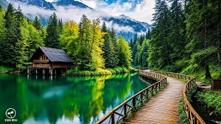 Soothing Birdsong and Gentle Piano Melodies to Deeply Relax Your Mind and Relieve Stress Naturally