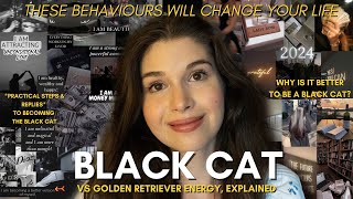 BLACK Cat GOLDEN Retriever Energy (practical steps to become the black cat \u0026 energy behaviours)