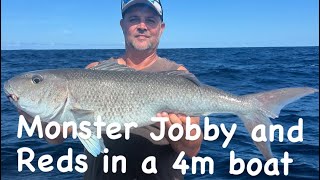 BIG GREEN JOB FISH, Beach launching off Fraser Island, K’Gari