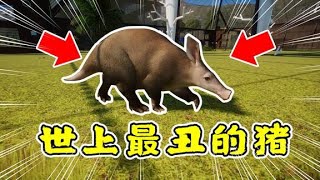 Planet zoo动物园之星30：非洲的神秘生物，长嘴猪出现，号称世上最丑的猪