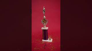 Recognition with Art Glass Awards Trophies at Classic Achievements-1
