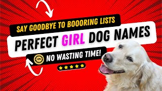 Top 15 Unique FEMALE Dog Names - Curated🔍 Trending🔥 and Explained✨