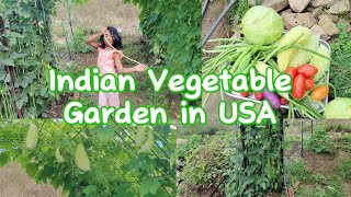 Indian Vegetable Garden in America (USA) |karela|okra| അമേരിക്കയിലെ ഞങ്ങളുടെ പച്ചക്കറി തോട്ടം.